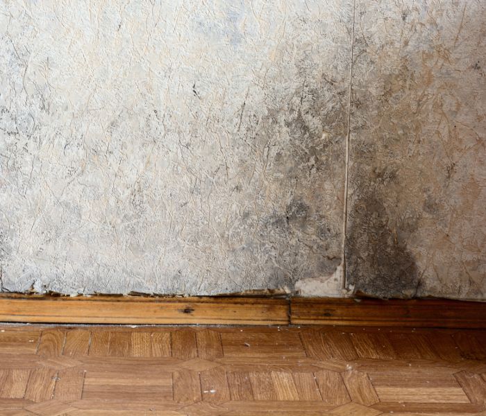 A home needing professional water damage repair in Concord.